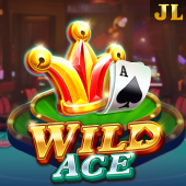 Wild Ace PT Gaming